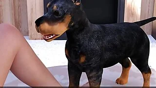 xnxx 7
